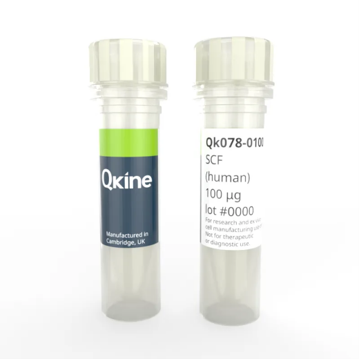图1 Qkine SCF（Qk078）
