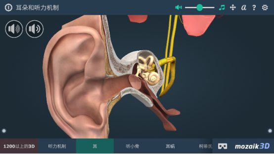 三维动态