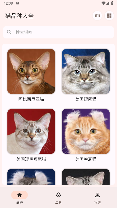 界面