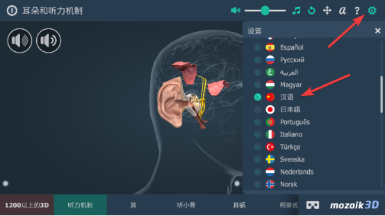 设置语言