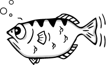 GDB的吉祥物:弓箭鱼