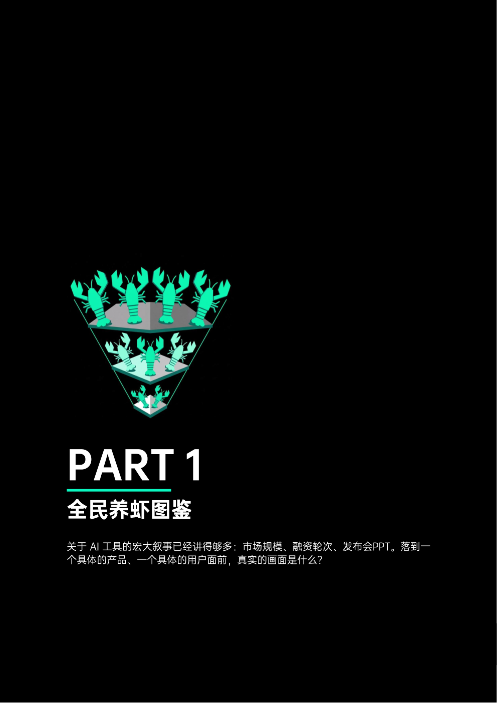 报告第5页