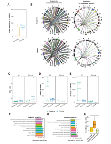 图 Properties of vlincRNA regulatory networks. 