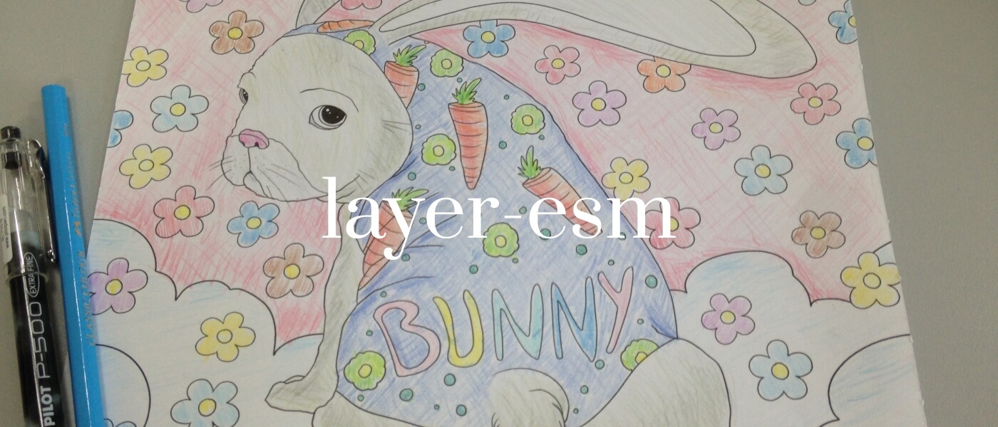 layer-esm