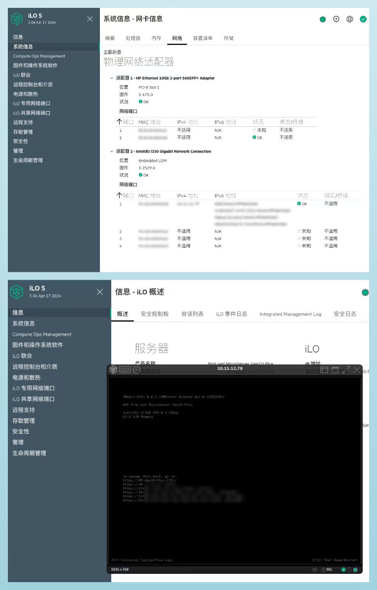 iLO 和 ESXi 默认识别双万兆网卡