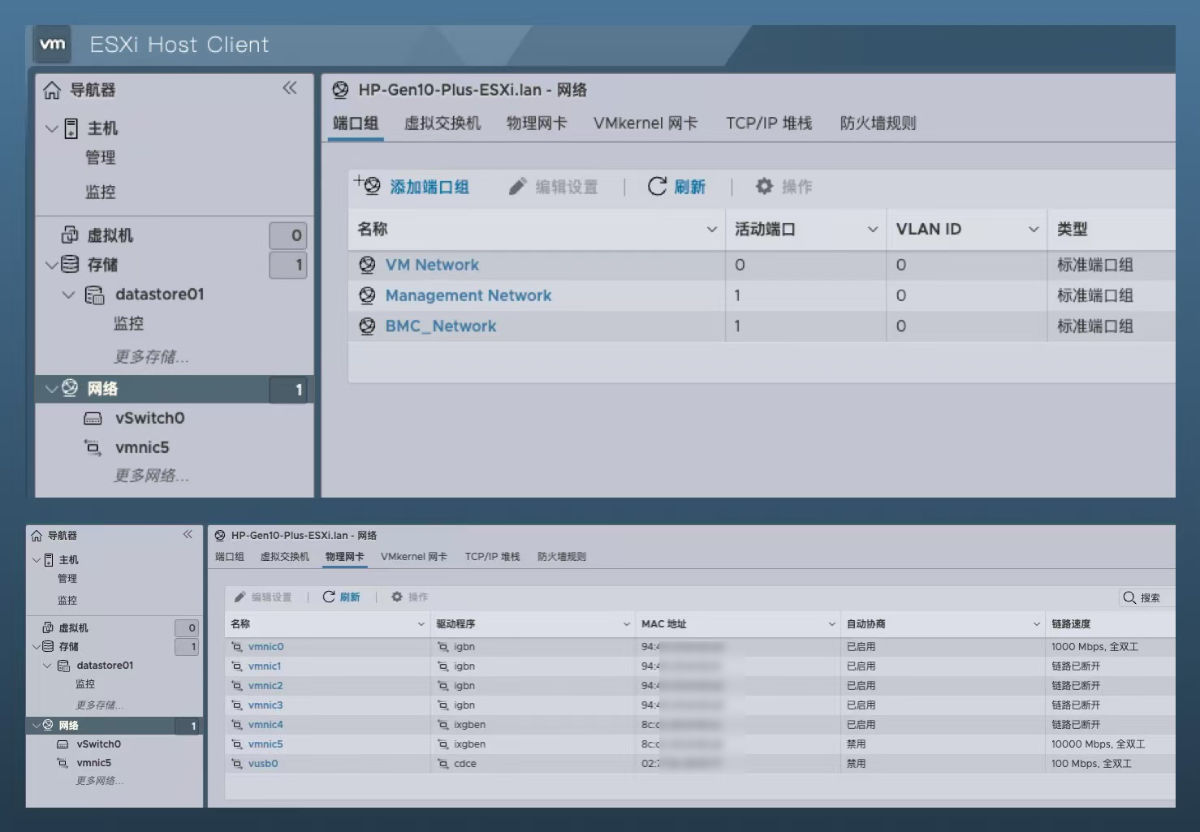 ESXi 系统内识别情况