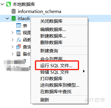 使用Navicat数据库软件导入sql文件时没有对应的类型怎么解决？ 第3张