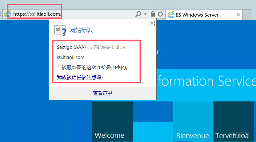 Windows环境下IIS安装和部署SSL证书的图文记录 第14张