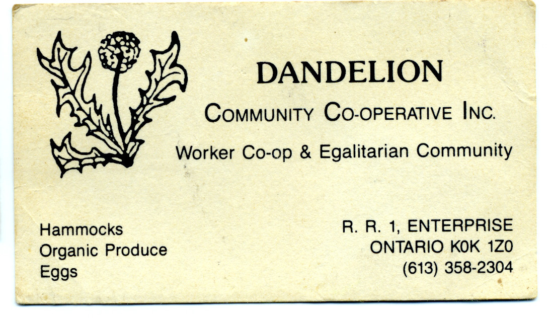 一张 Dandelion Community Co-operative 名片的照片，用于测试 OCR 在紧凑文档上的表现