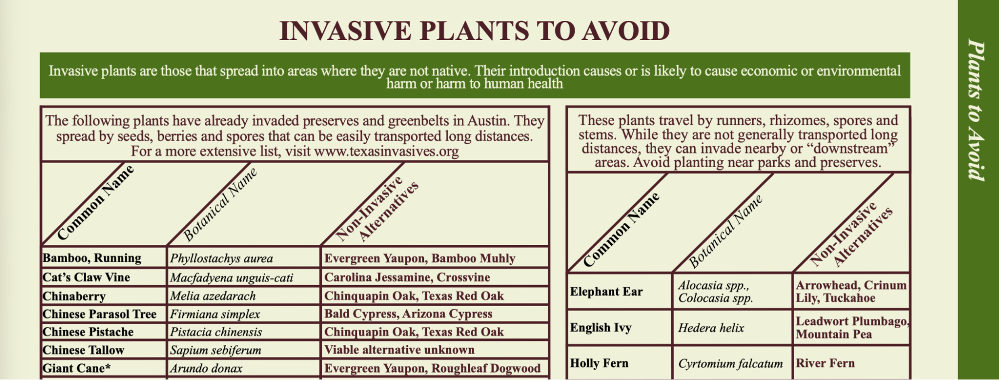 Invasive plants table from a scanned guide, reconstructed by jina-ocr-v1 with every row intact