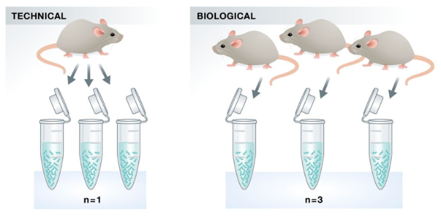 [Klaus B., EMBO J (2015) 34: 2727-2730](https://dx.doi.org/10.15252%2Fembj.201592958)