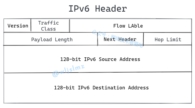 IPv6头
