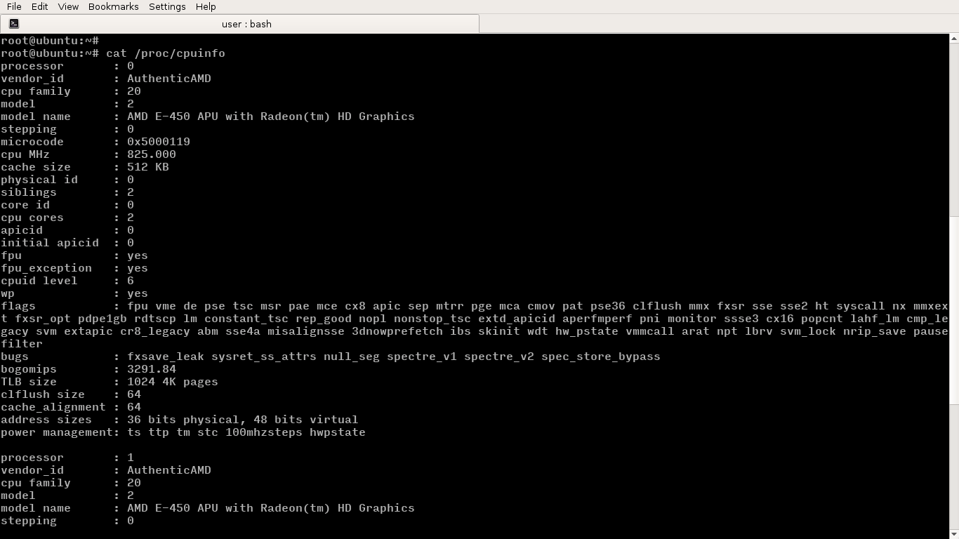 `proccpuinfo` 文件中最常见的标志