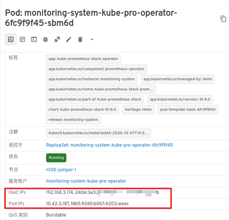 Pod 双栈