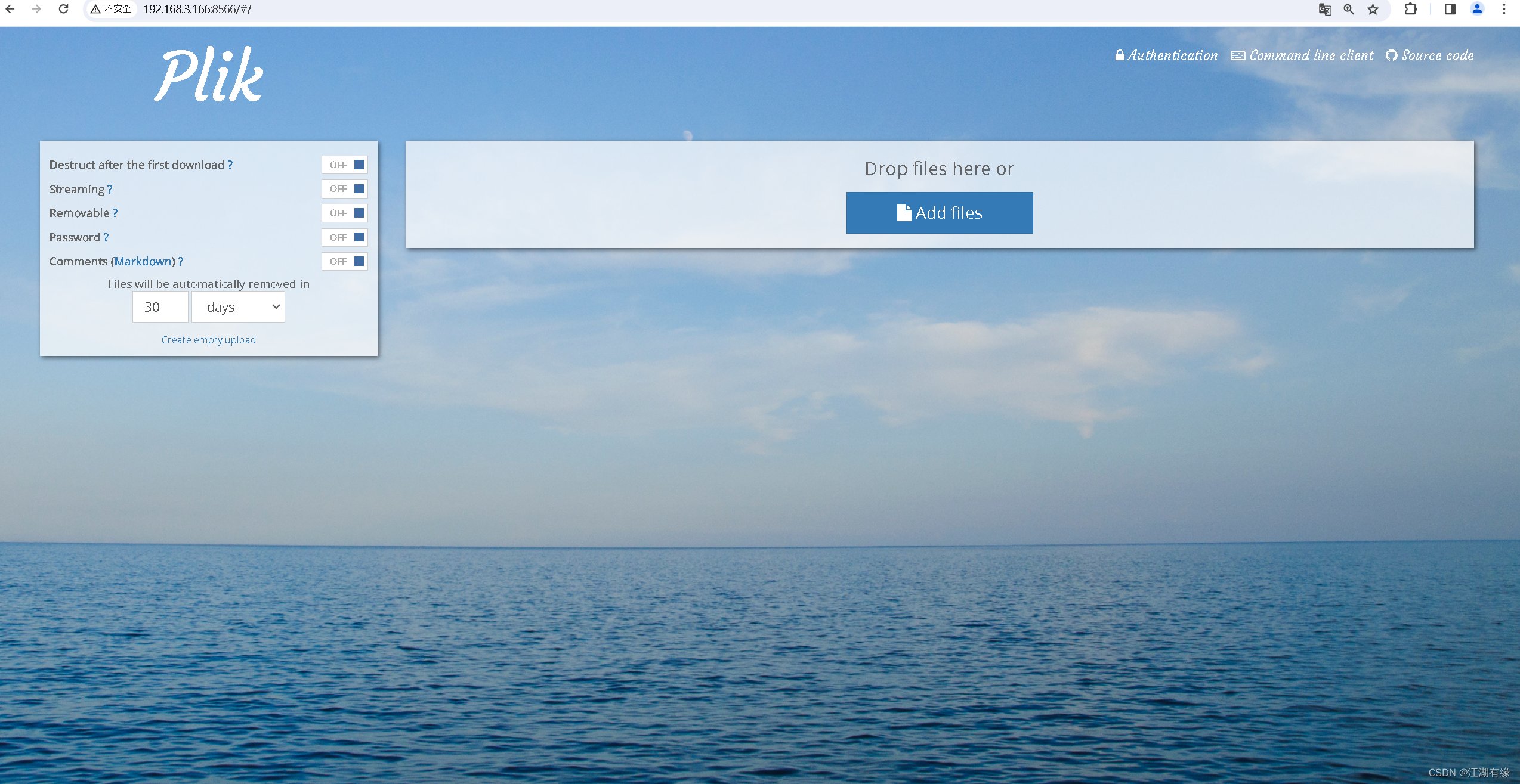 【Docker项目实战】使用Docker部署Plik临时文件上传系统