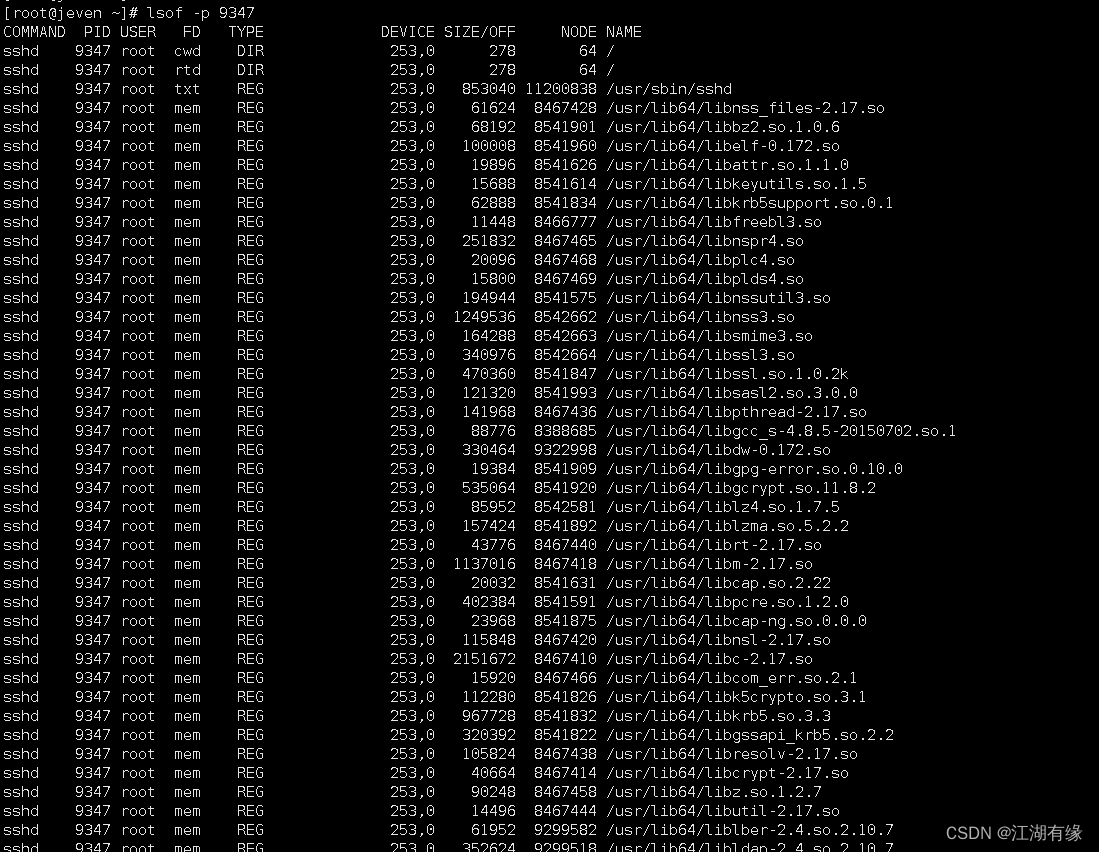 Linux系统之lsof命令的基本使用-腾讯云开发者社区-腾讯云