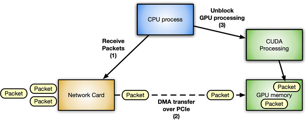 该图显示了 CPU 进程、GPU 内存、CUDA 处理和网卡之间的数据包流。