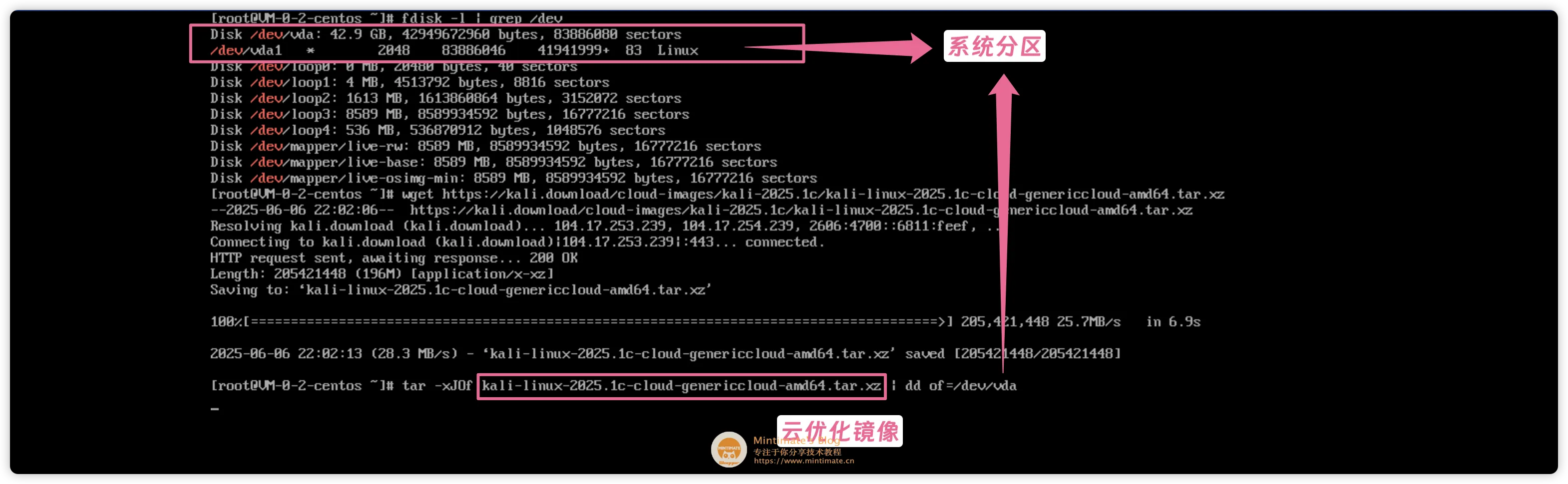 dd 安装 Kali Linux 云优化镜像