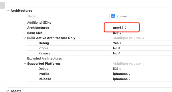 iOS CPU 设置