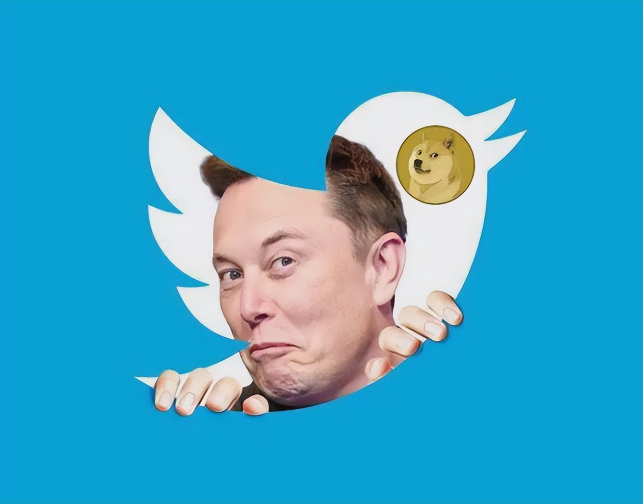 狗狗币会成为 Twitter 的货币吗？
