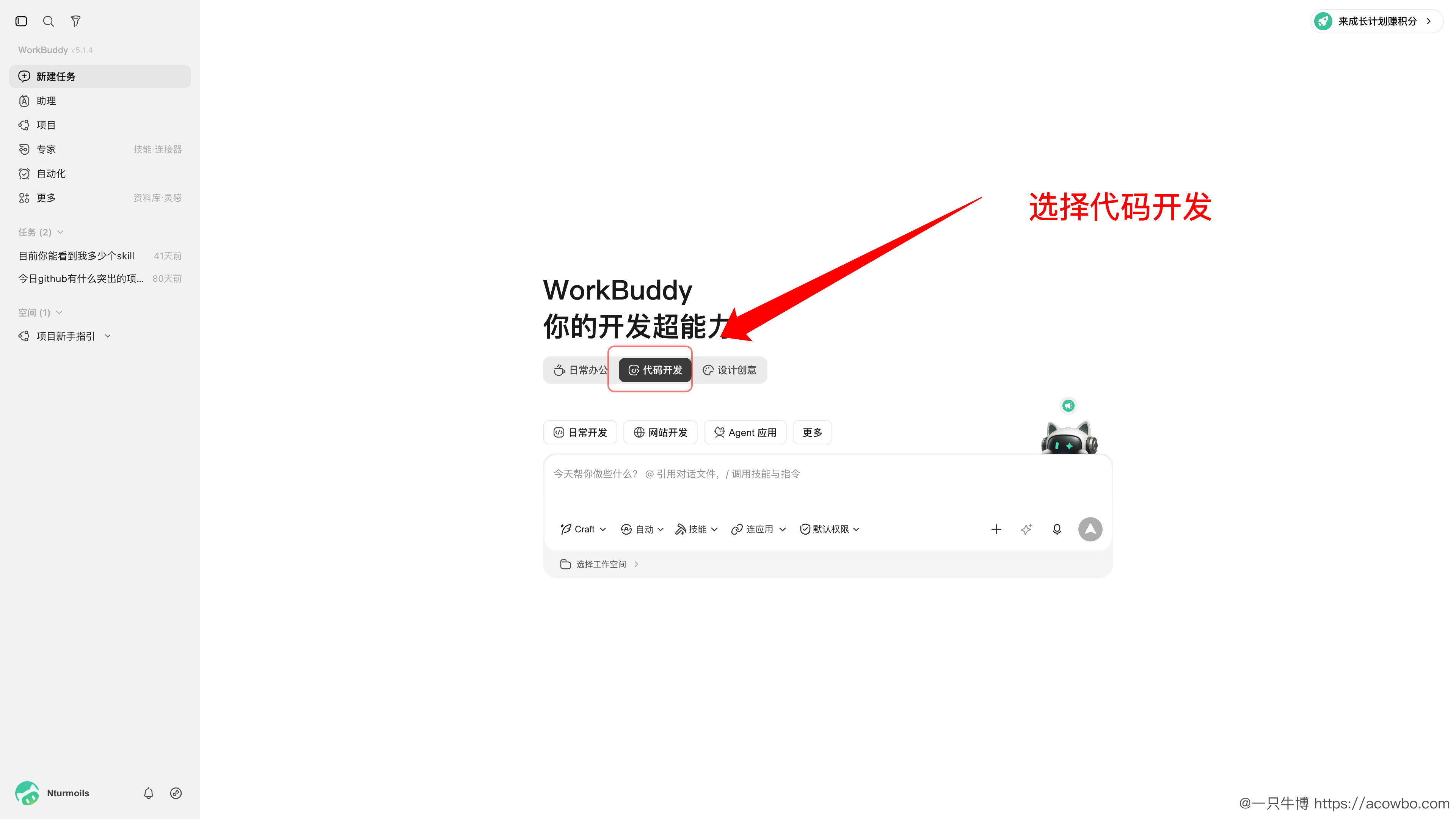 选择代码开发