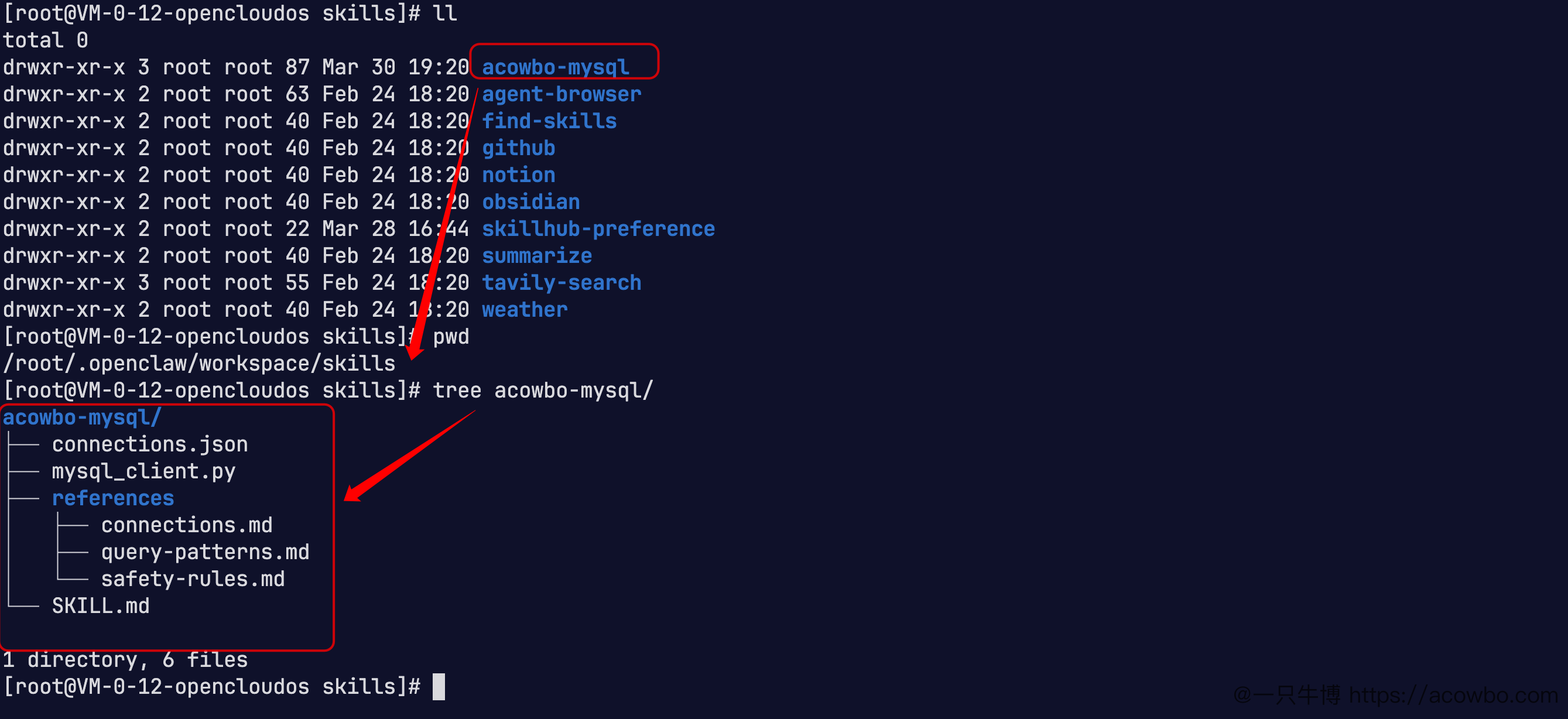 Skill 部署位置及目录结构（腾讯云轻量服务器实机截图）