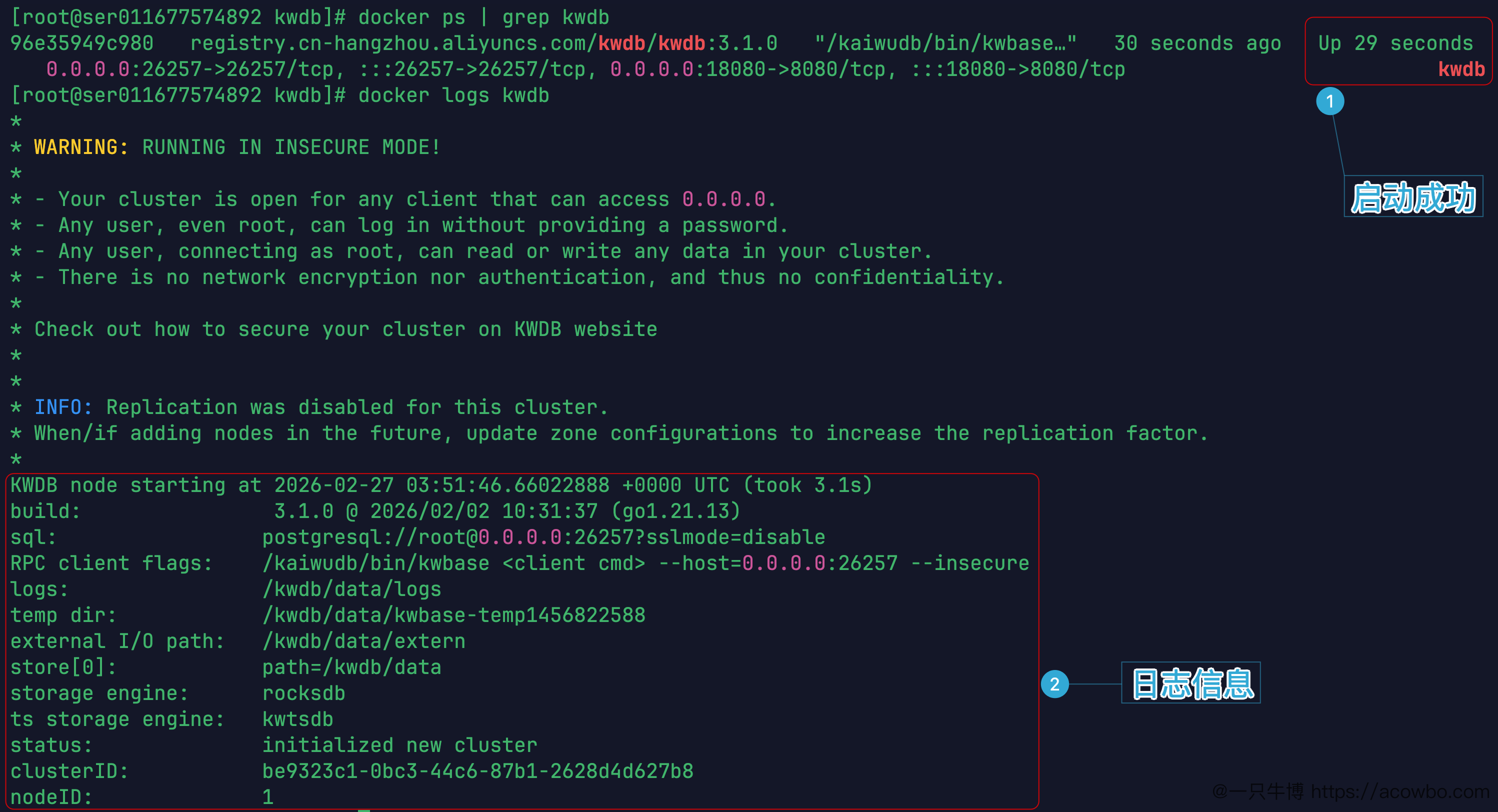 容器启动成功与日志截图