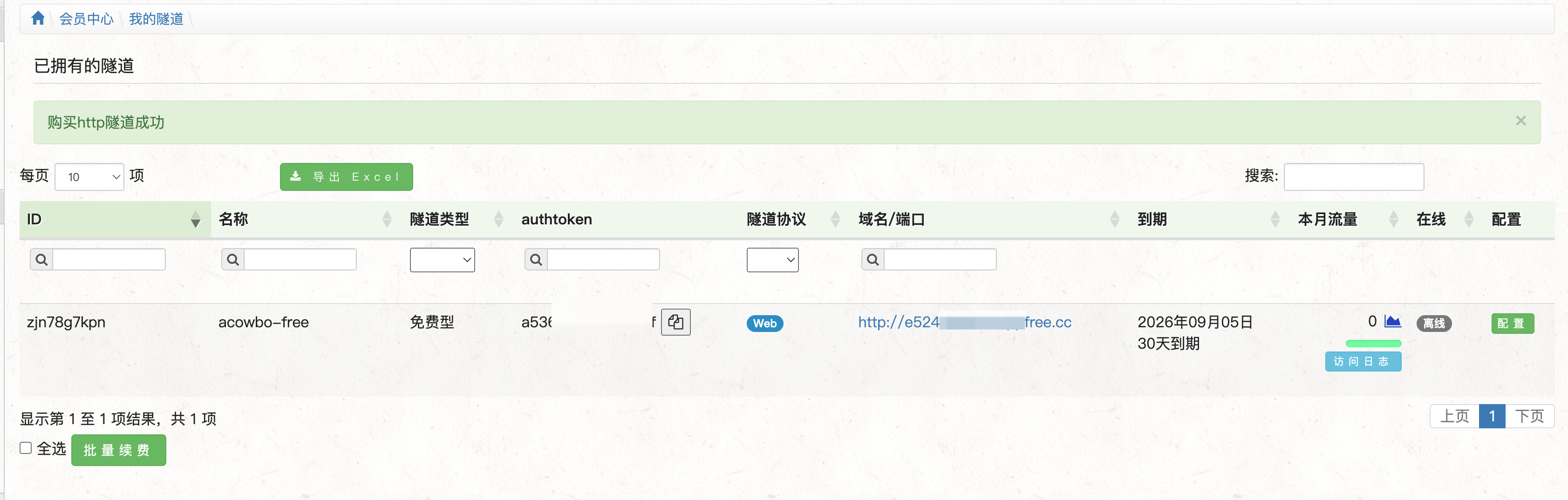 在隧道列表中取得 authtoken 和公网地址
