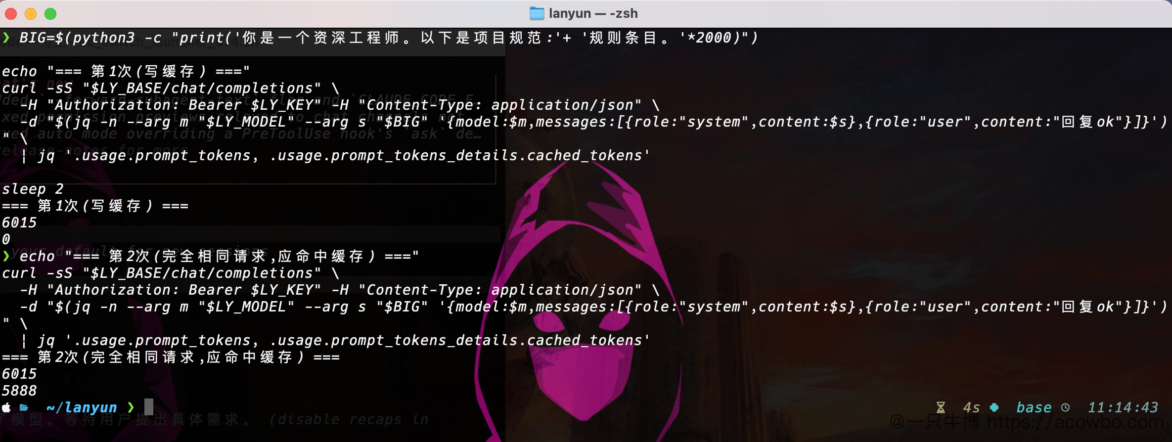 两次请求,cached_tokens 从 0 跳到 5888