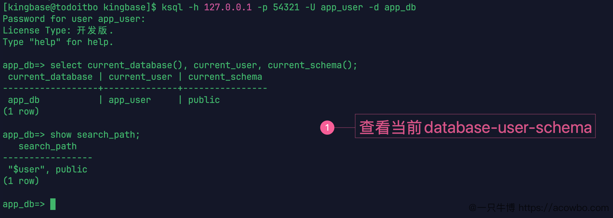 查看当前 database user schema