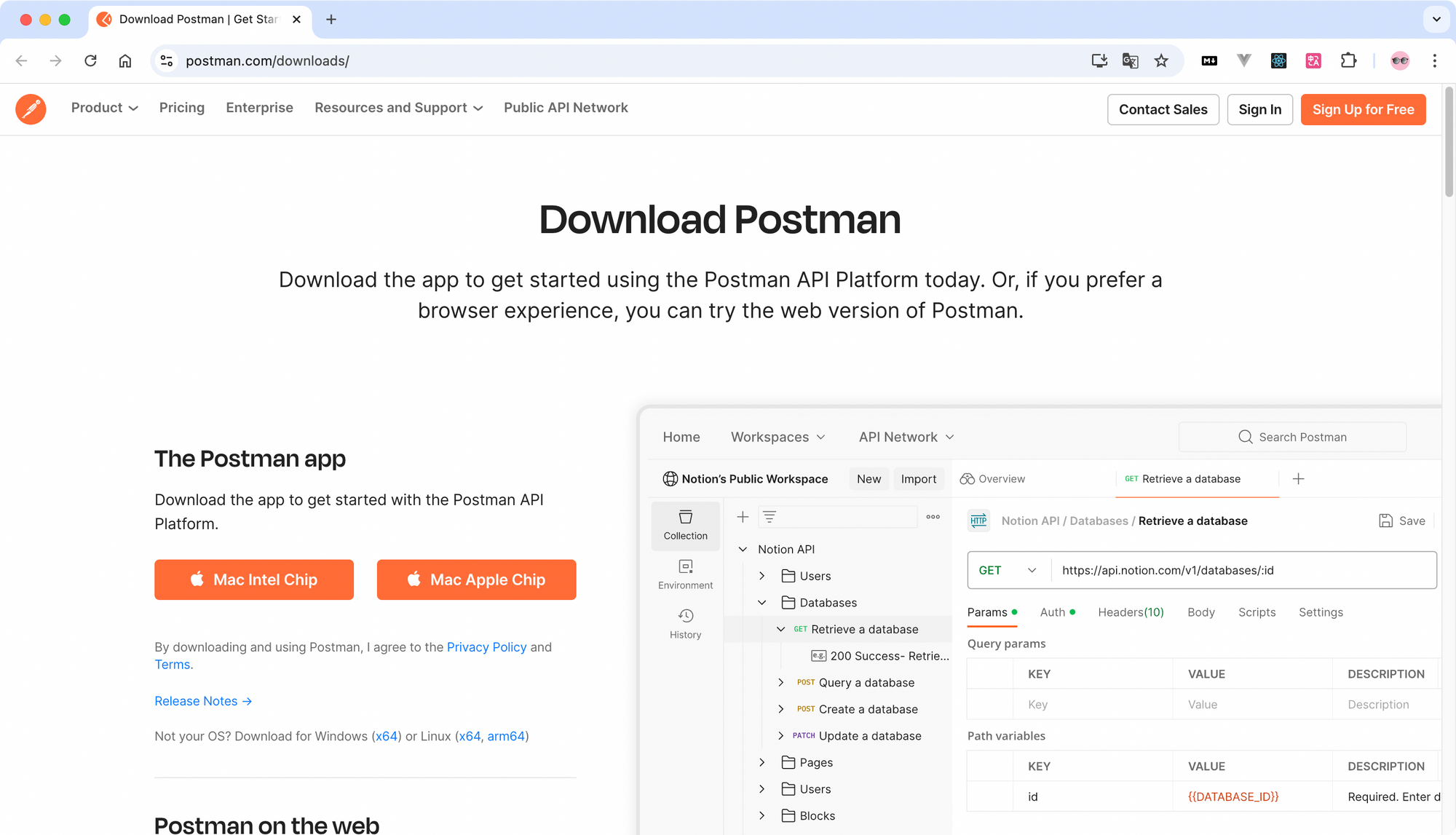 下载 Postman 界面示意