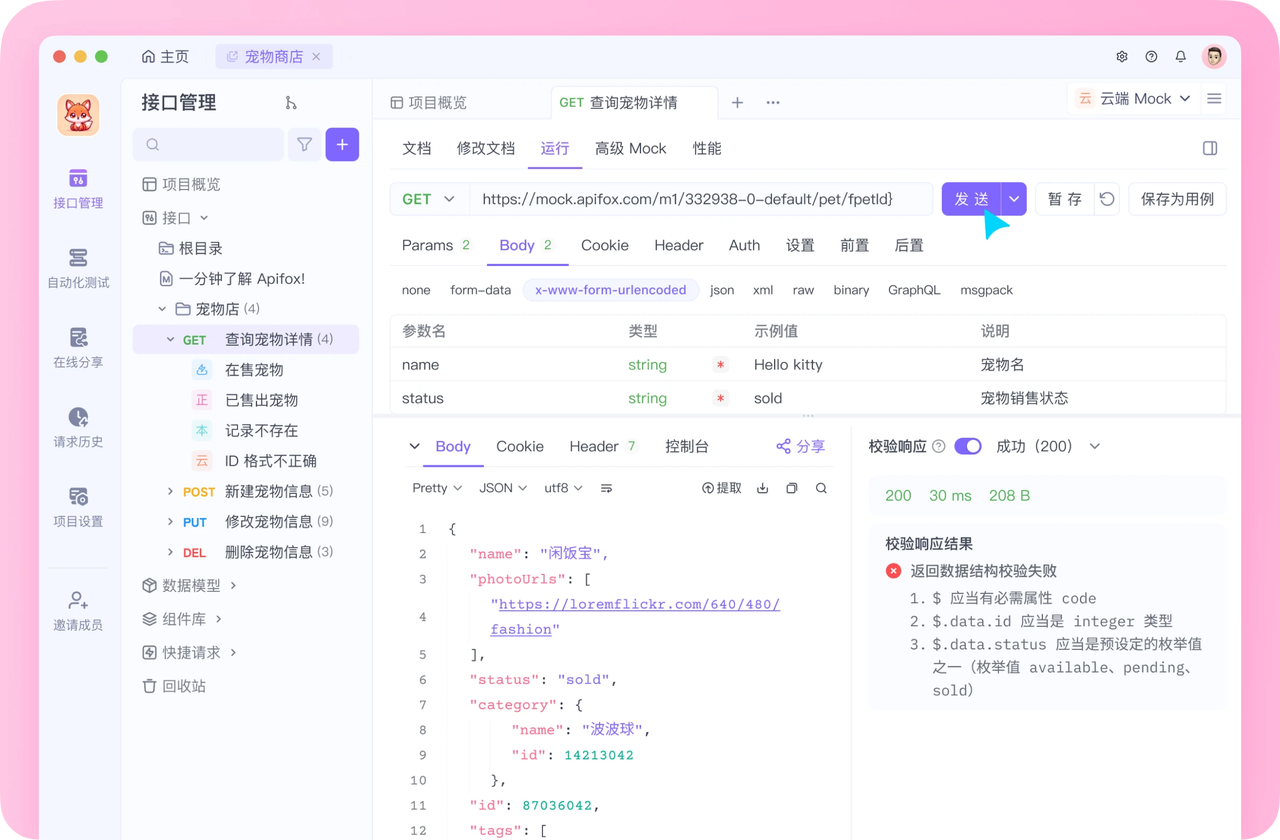 Apifox 界面展示