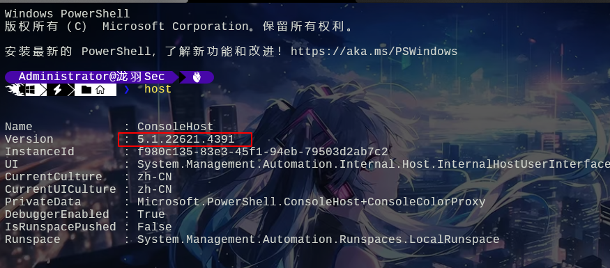image-20241119135029464