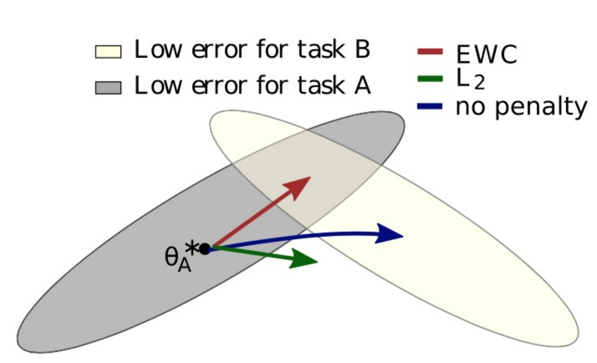 图3 EWC训练策略