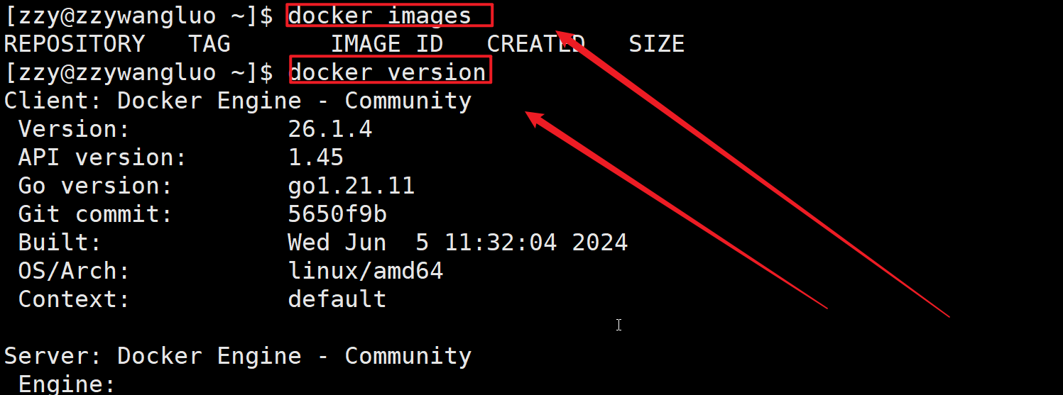 image-20241214182025864