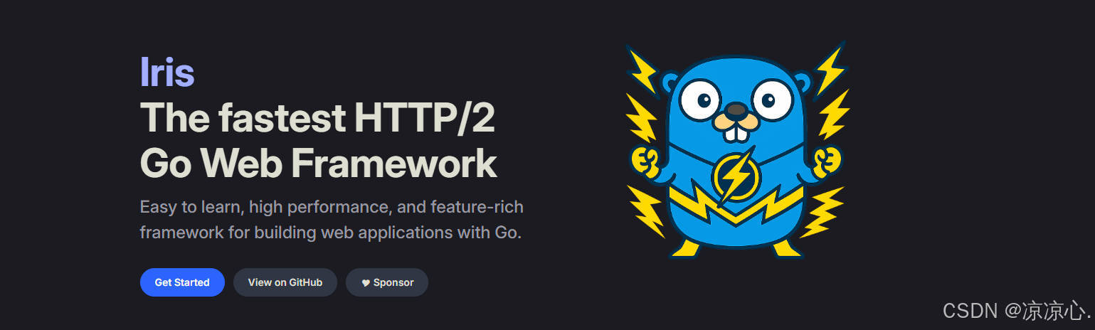 （Go Gin）基于Go的WEB开发框架，GO Gin是什么？怎么启动？本文给你答案