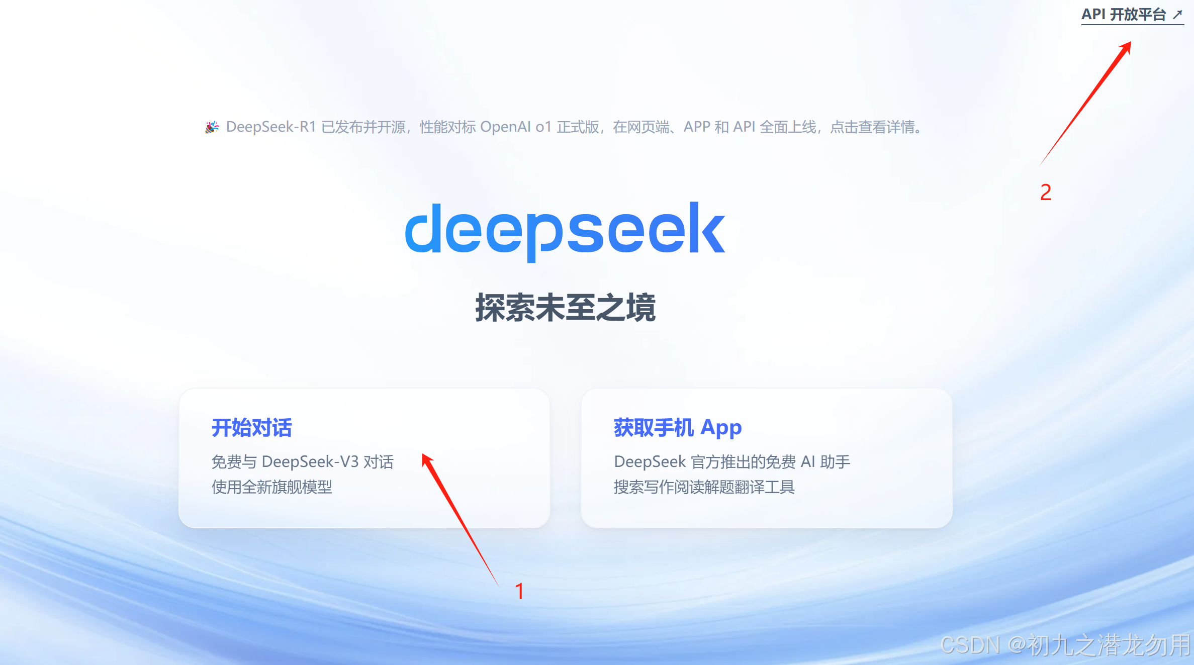 C# 两种方案实现调用 DeepSeek API