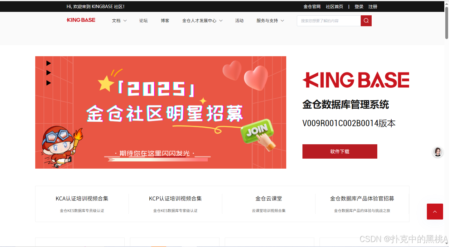 金仓数据库征文-政务领域国产化数据库更替：金仓 KingbaseES 应用实践
