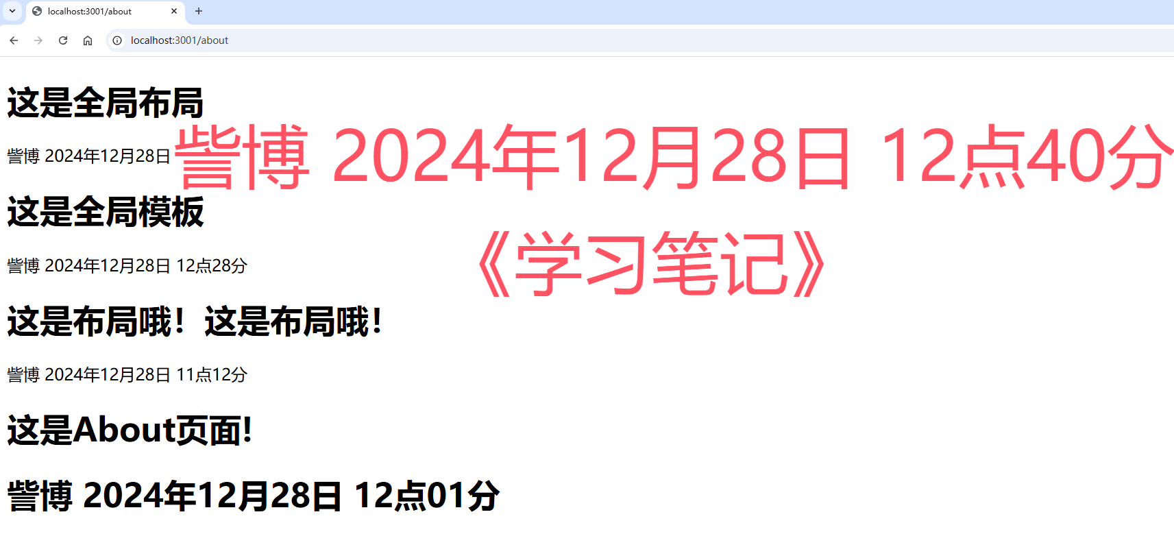 image-20241228124109777