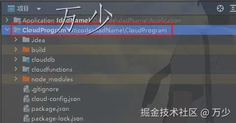 image-20250116100943842