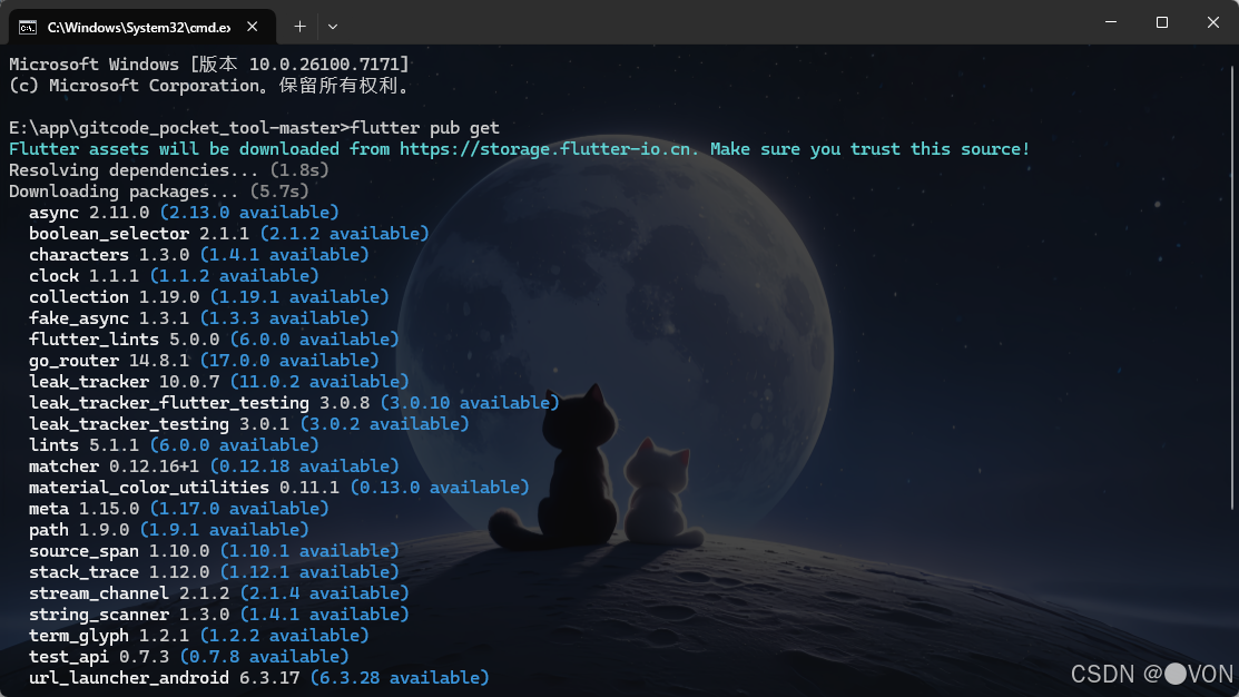 执行 flutter pub get