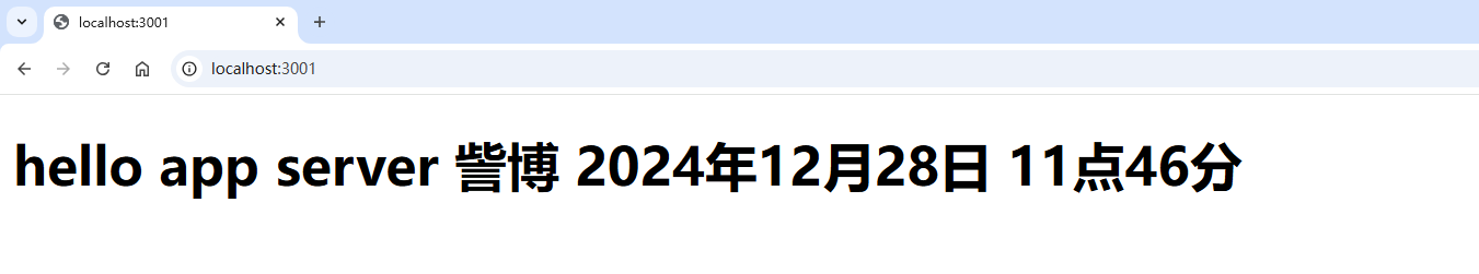 image-20241228114824418