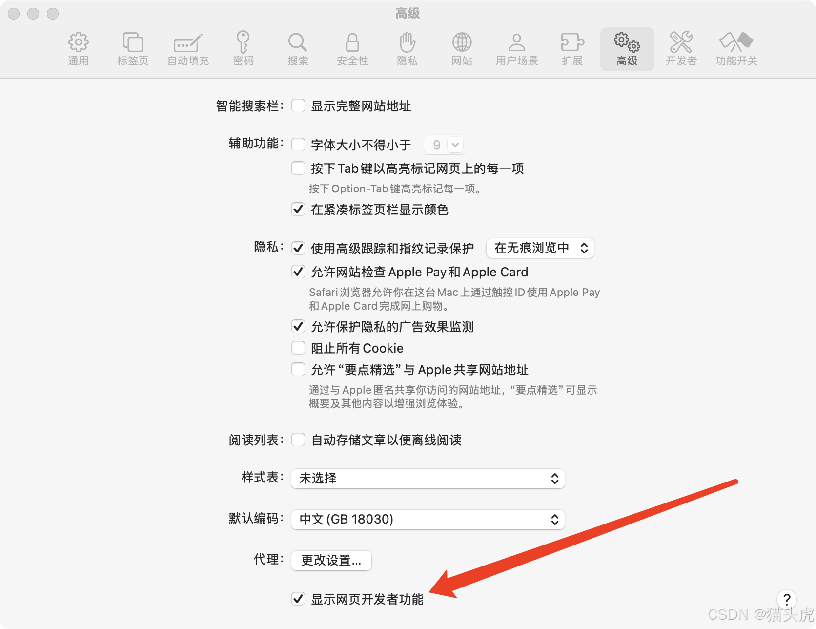 Mac 自带浏览器 Safari 如何开启 Web 网页开发者调试模式？