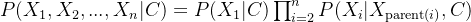 P(X_1, X_2, ..., X_n | C) = P(X_1 | C) \prod_{i=2}^n P(X_i | X_{\text{parent}(i)}, C)