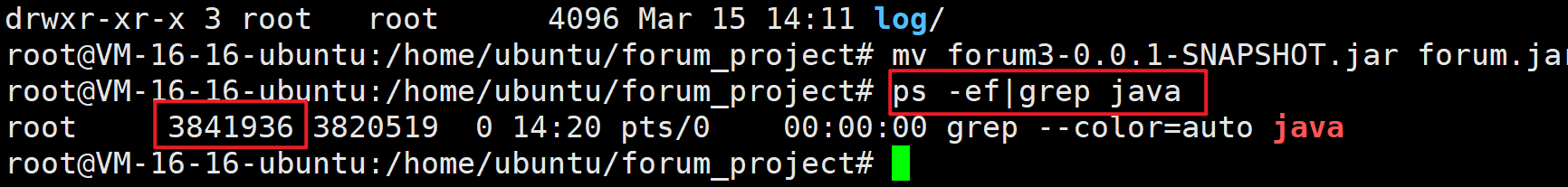 image-20250315142147719