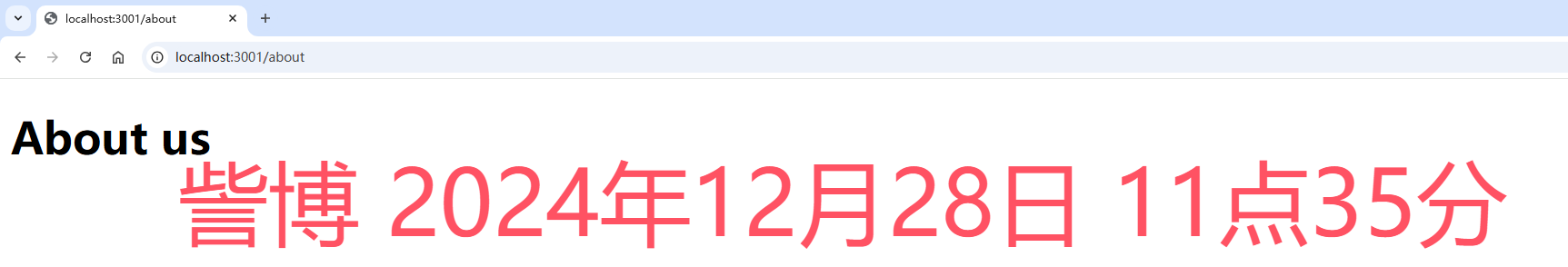 image-20241228113546789