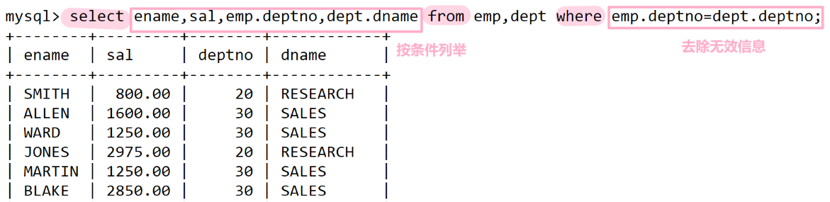 image-20250209123315927