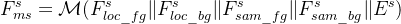 F_{ms}^s=\mathcal{M}(F_{loc\_fg}^s \| F_{loc\_bg}^s \| F_{sam\_fg}^s \| F_{sam\_bg}^s \| E^s)