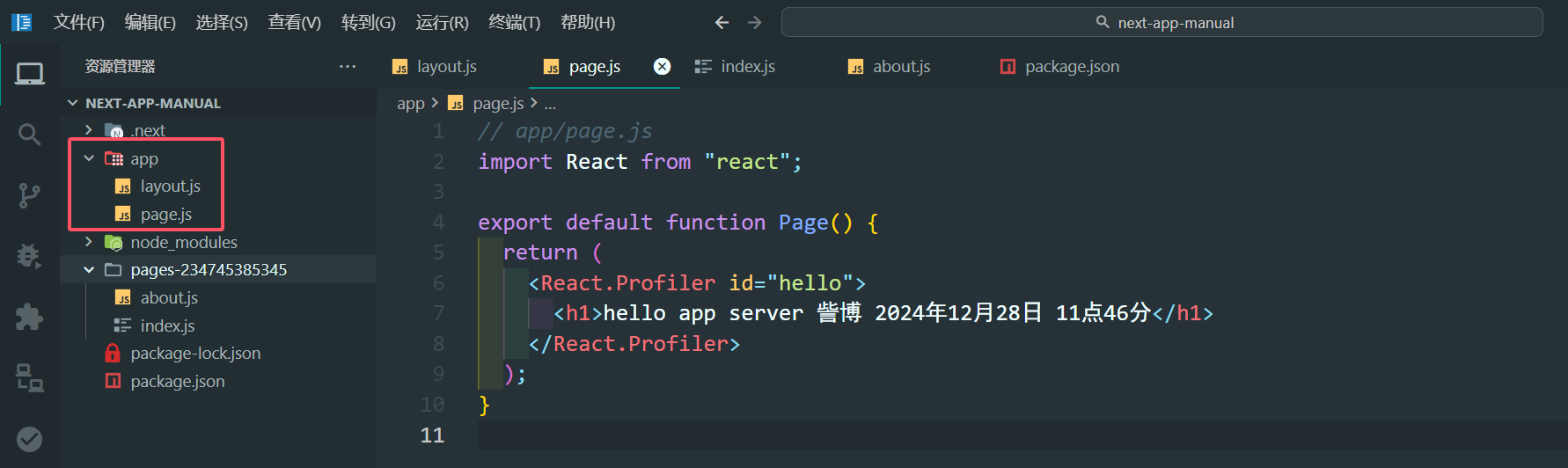 image-20241228114741688
