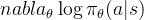 nabla_{\theta} \log \pi_{\theta}(a|s)